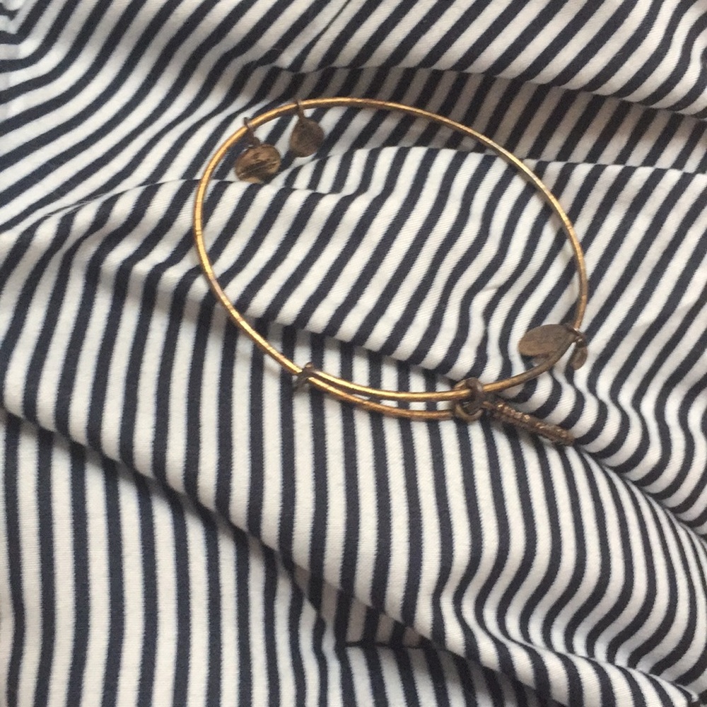 A older Alex and ani bracelet